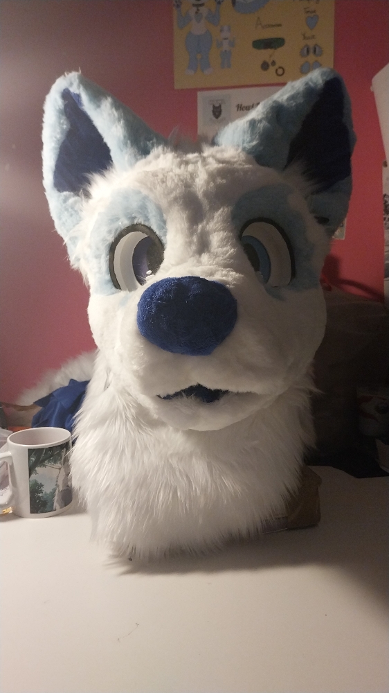 Titan refurb - Photo 1