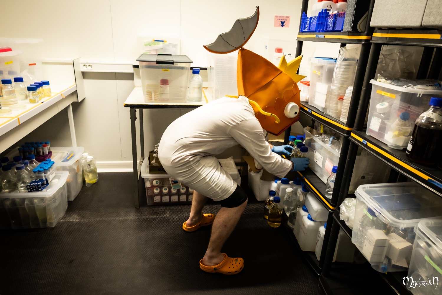 Professor Magicarpe  - Photo 11