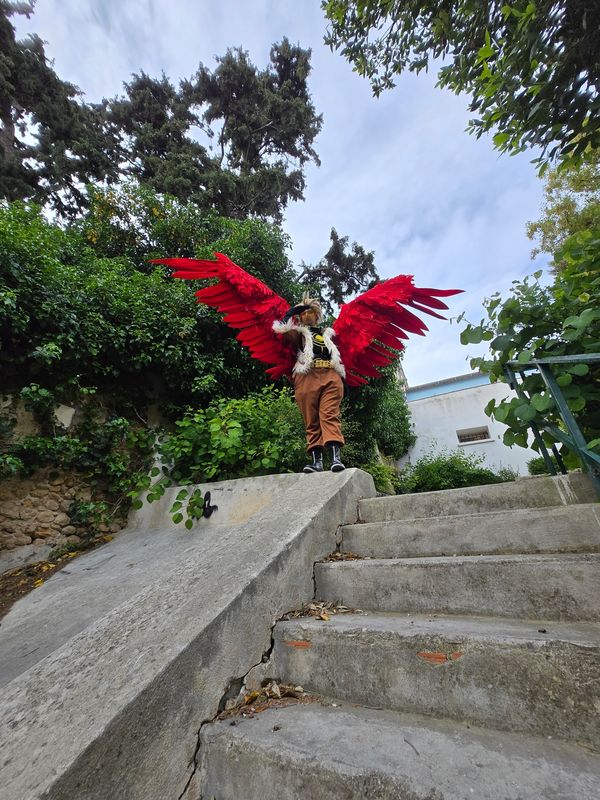 Marie_co – Hawks 