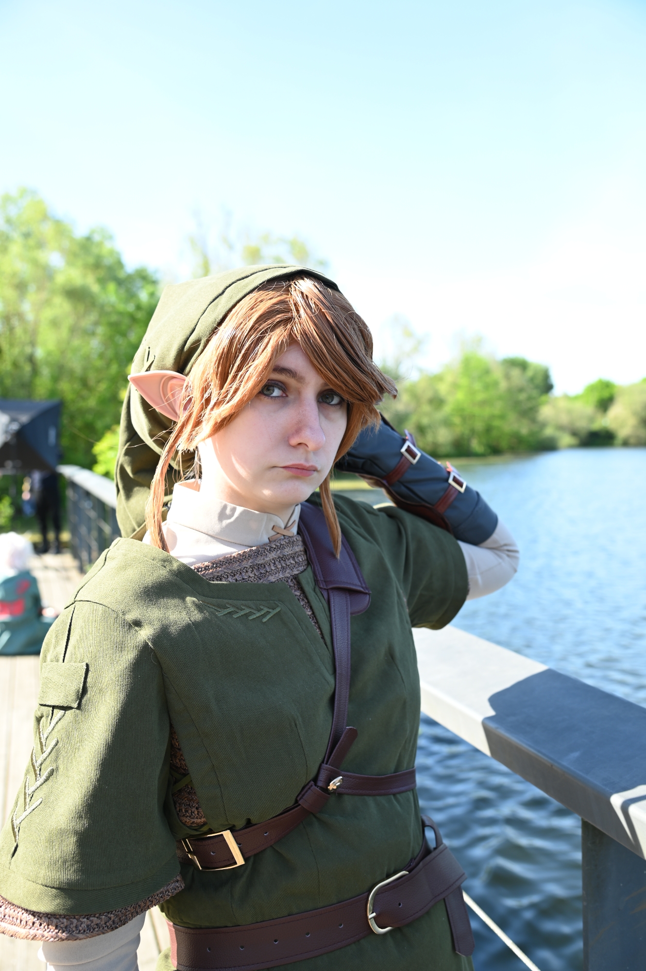 Link — photo 13