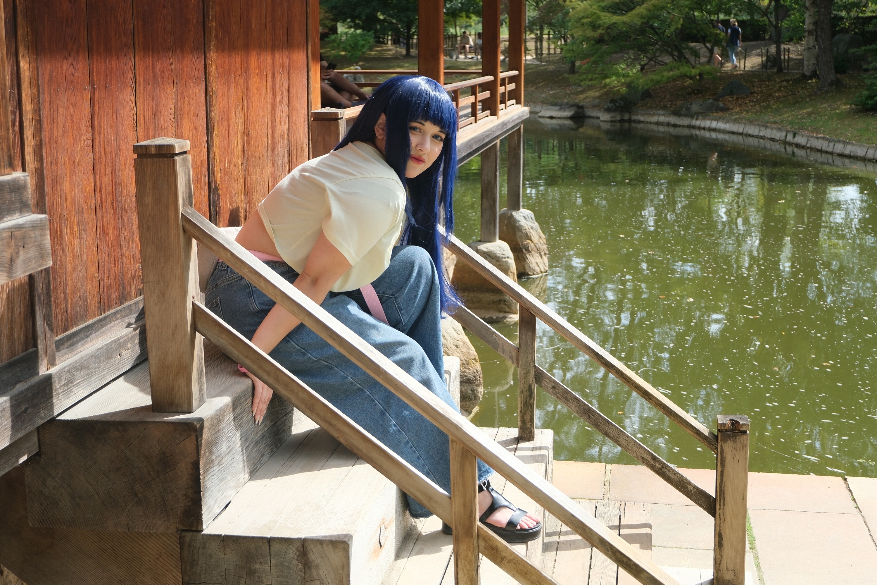Himawari  - Photo 51