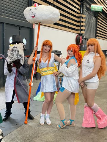 One piece rassemble