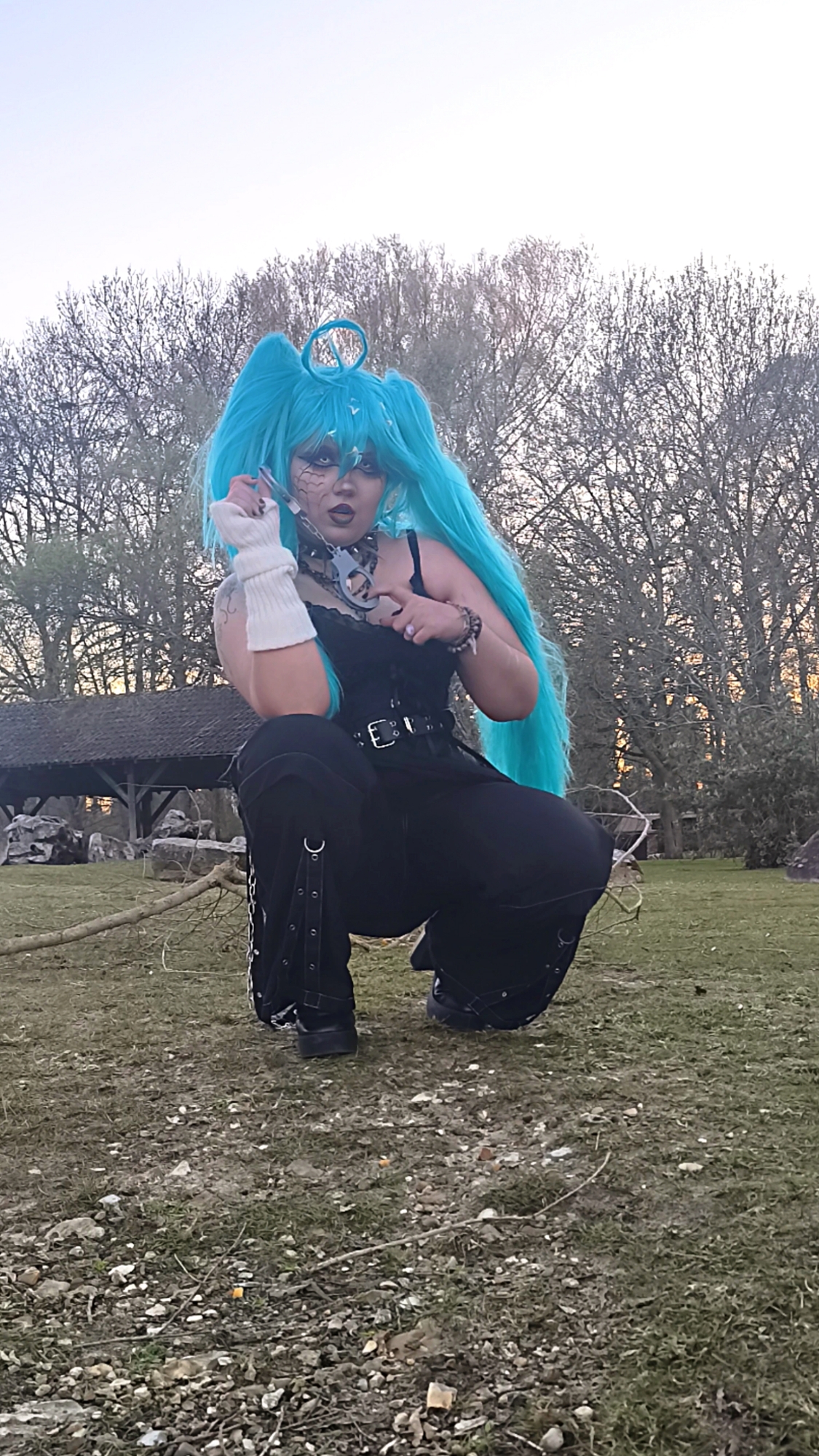 Miku — photo 9