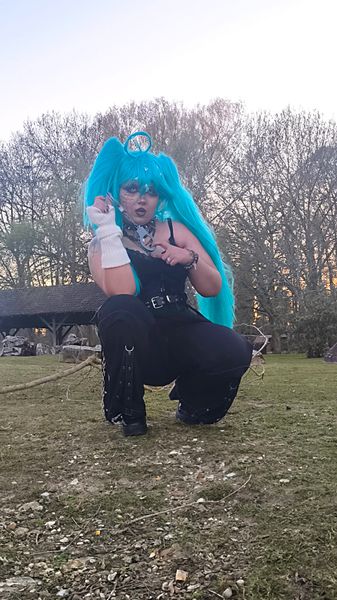 Dingadus_ - Miku
