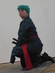 Zoro - Japan Touch preview 3