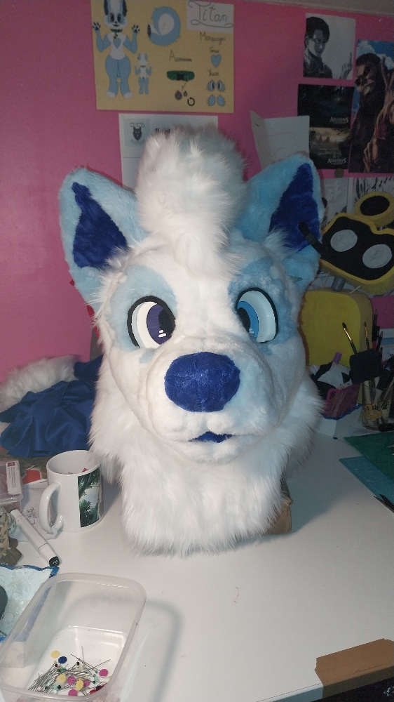 Titan refurb - Photo 7