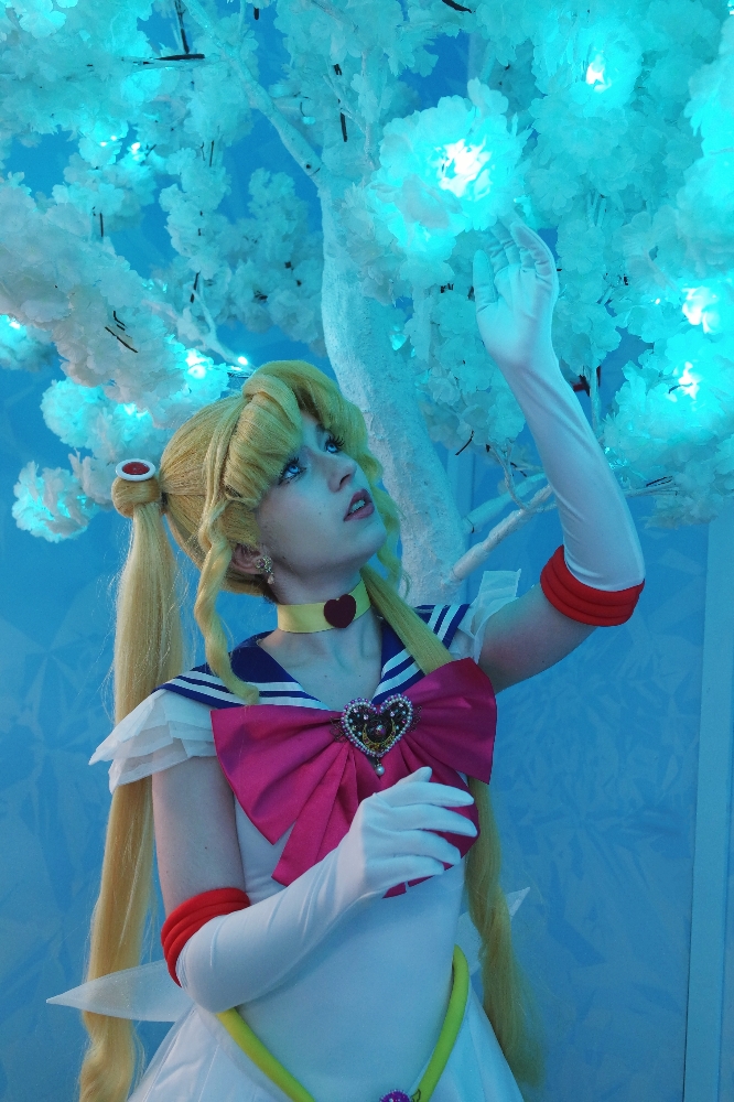 Sailor Moon — photo 28