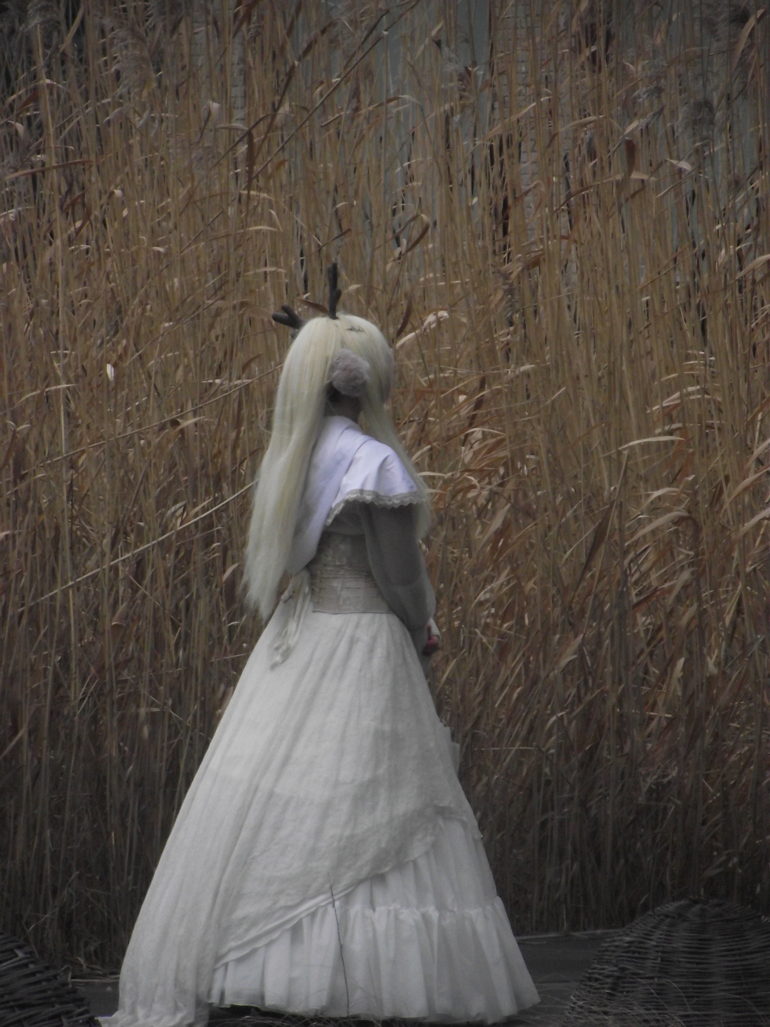 Noelle — photo 19