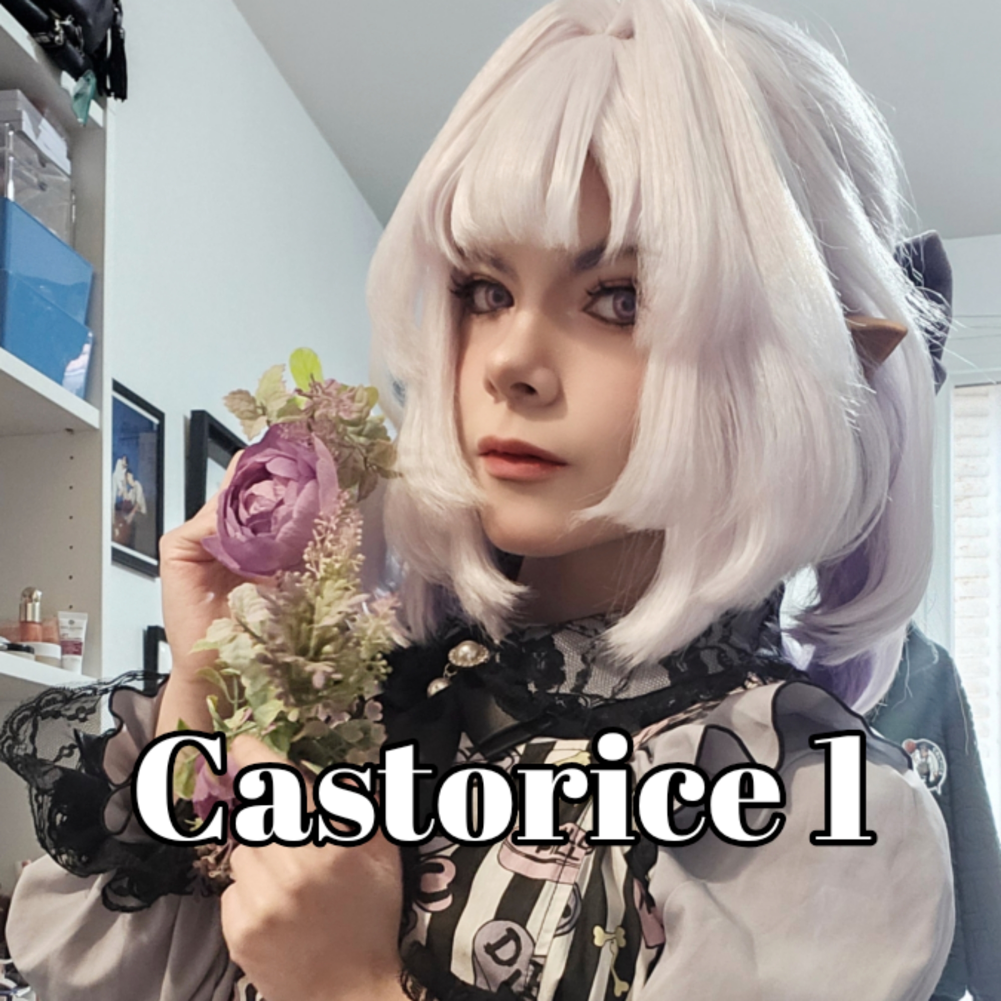Castorice 1