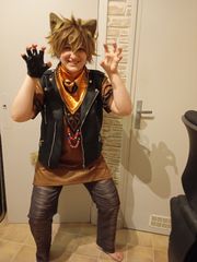 Ruggie preview 2