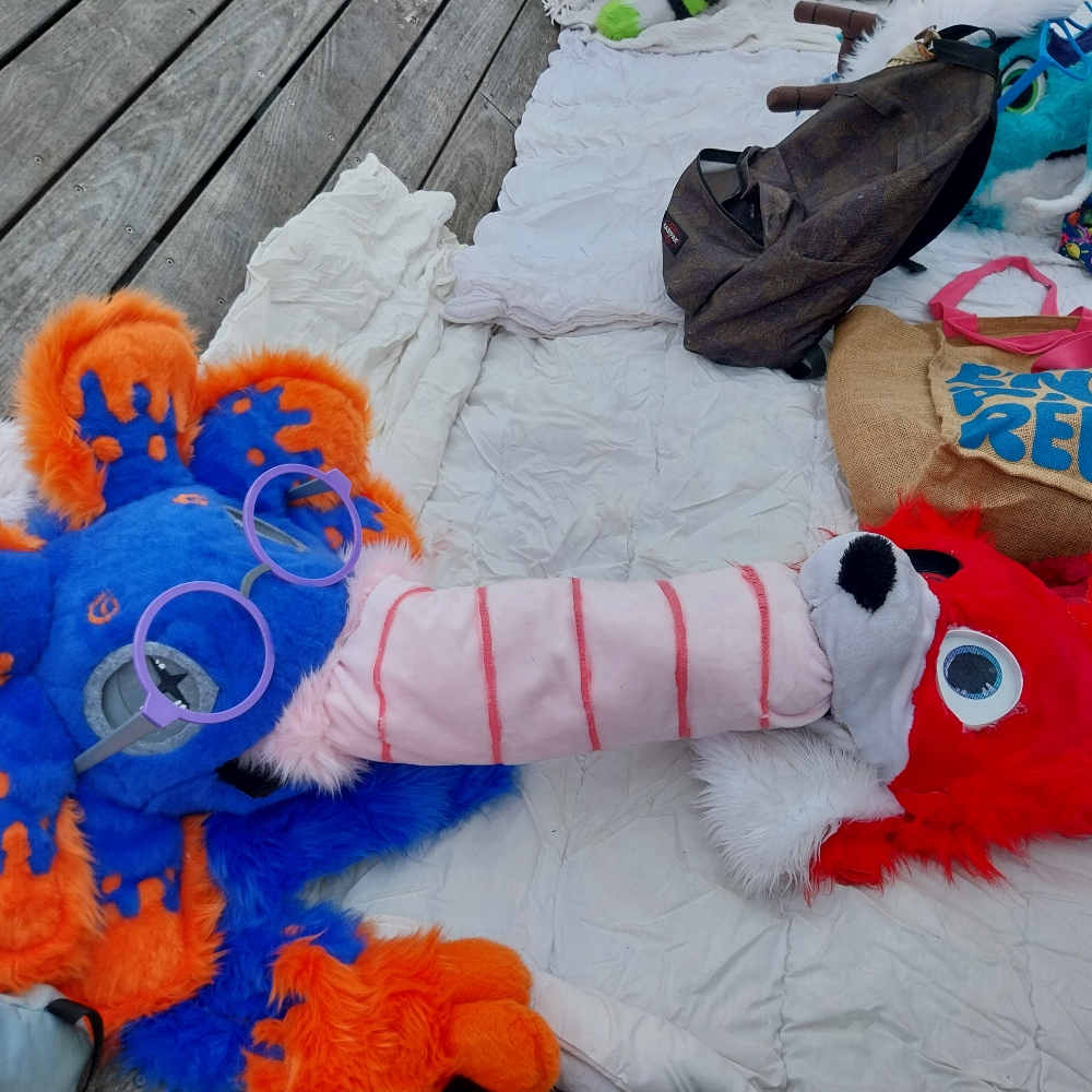 Stellar à japanante - Photo 9