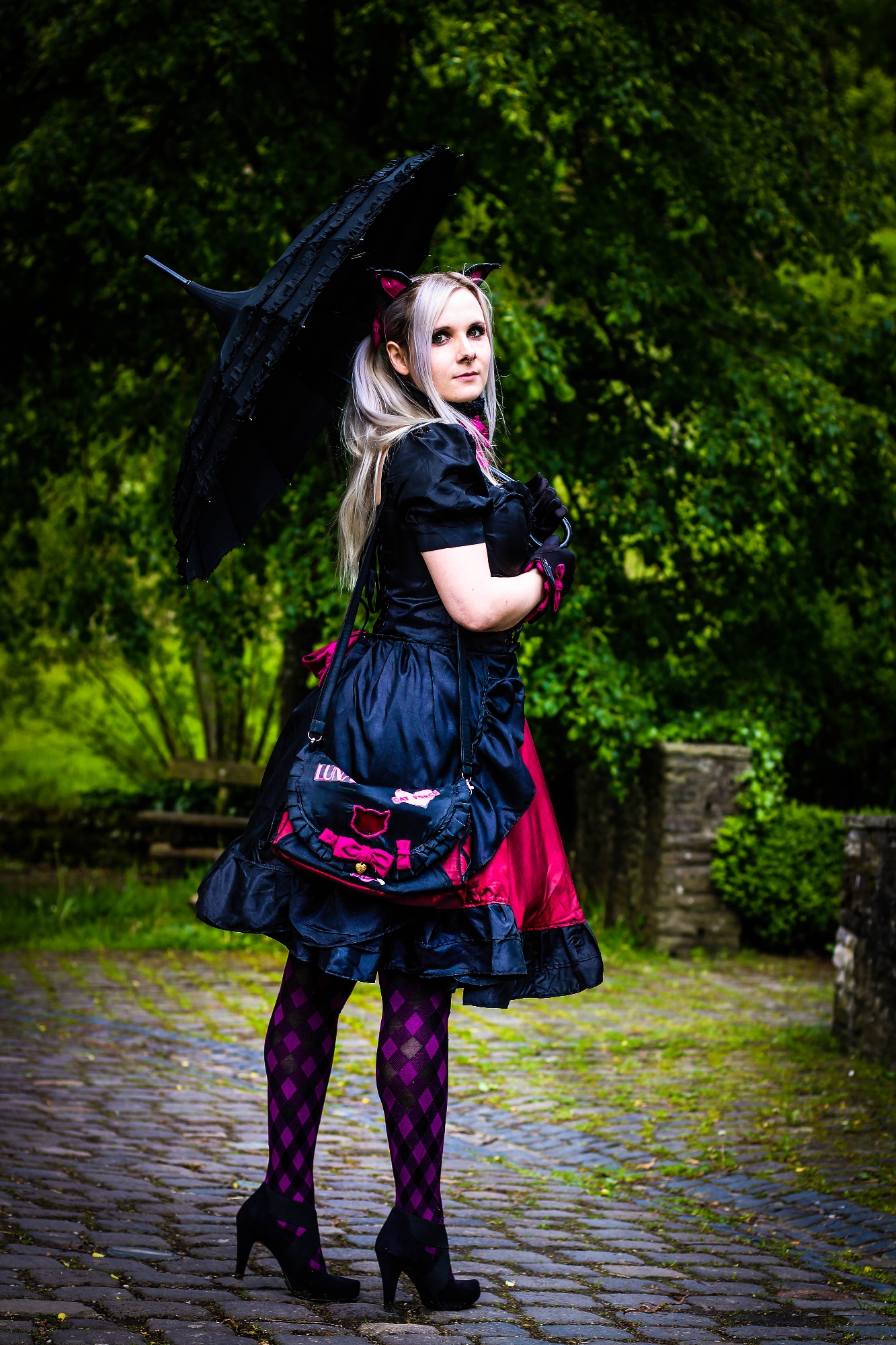 Black Cat DVA — photo 7