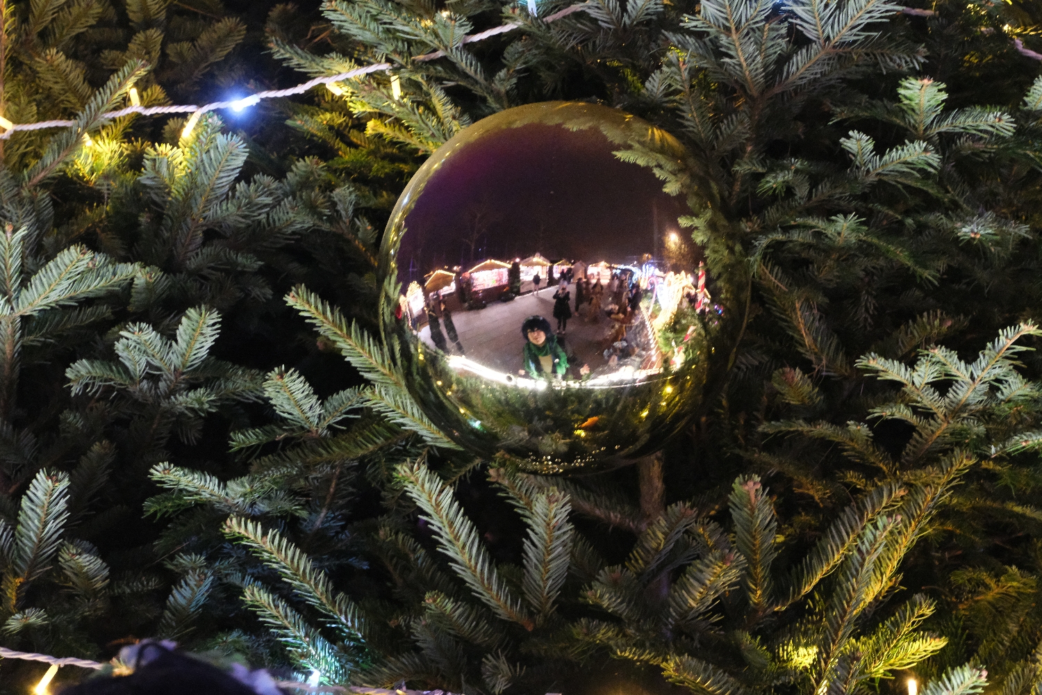 Venti Noël — photo 18