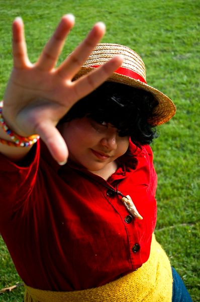 Sebassssstien_ - Luffy