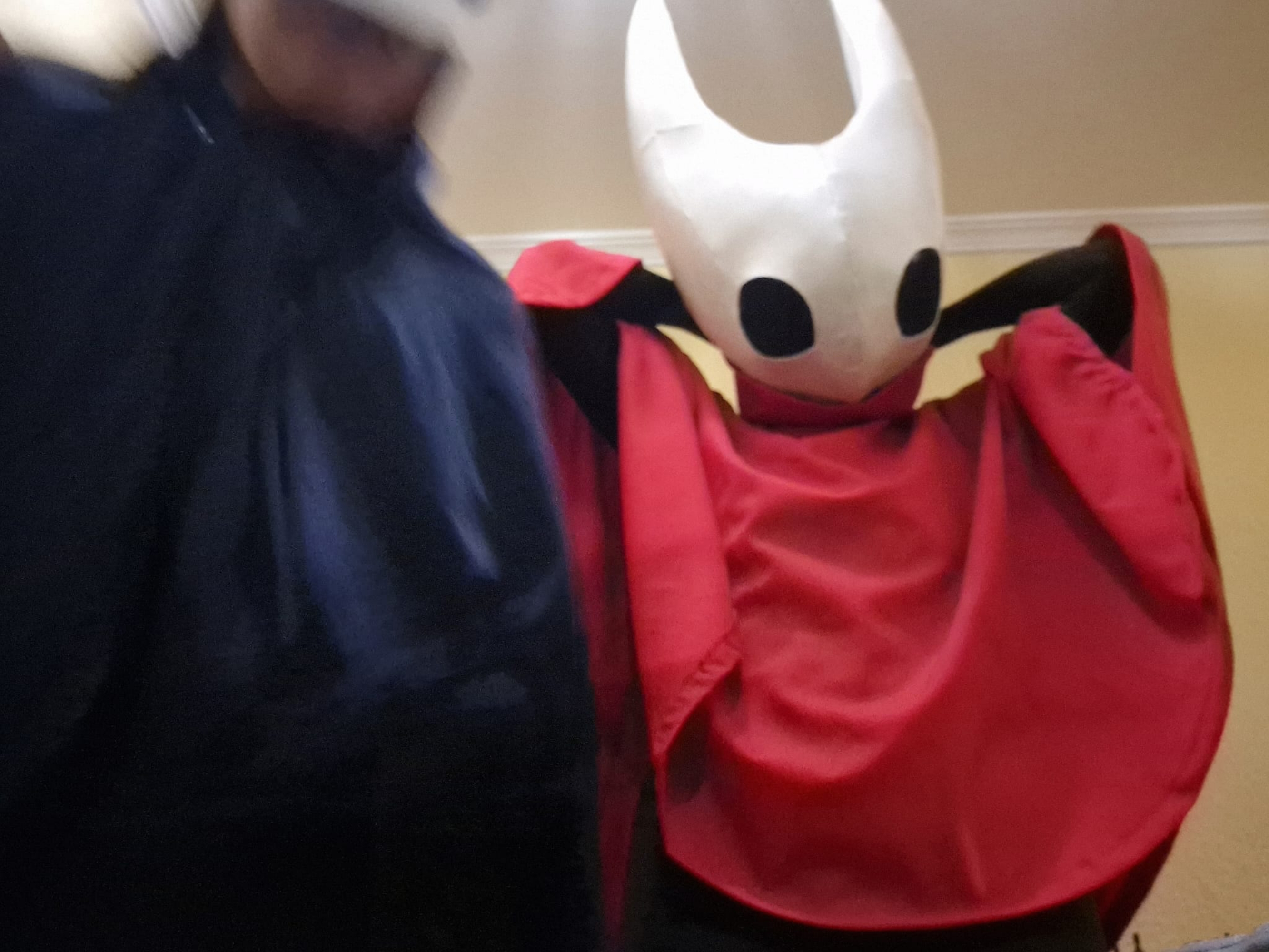 Hornet — photo 13