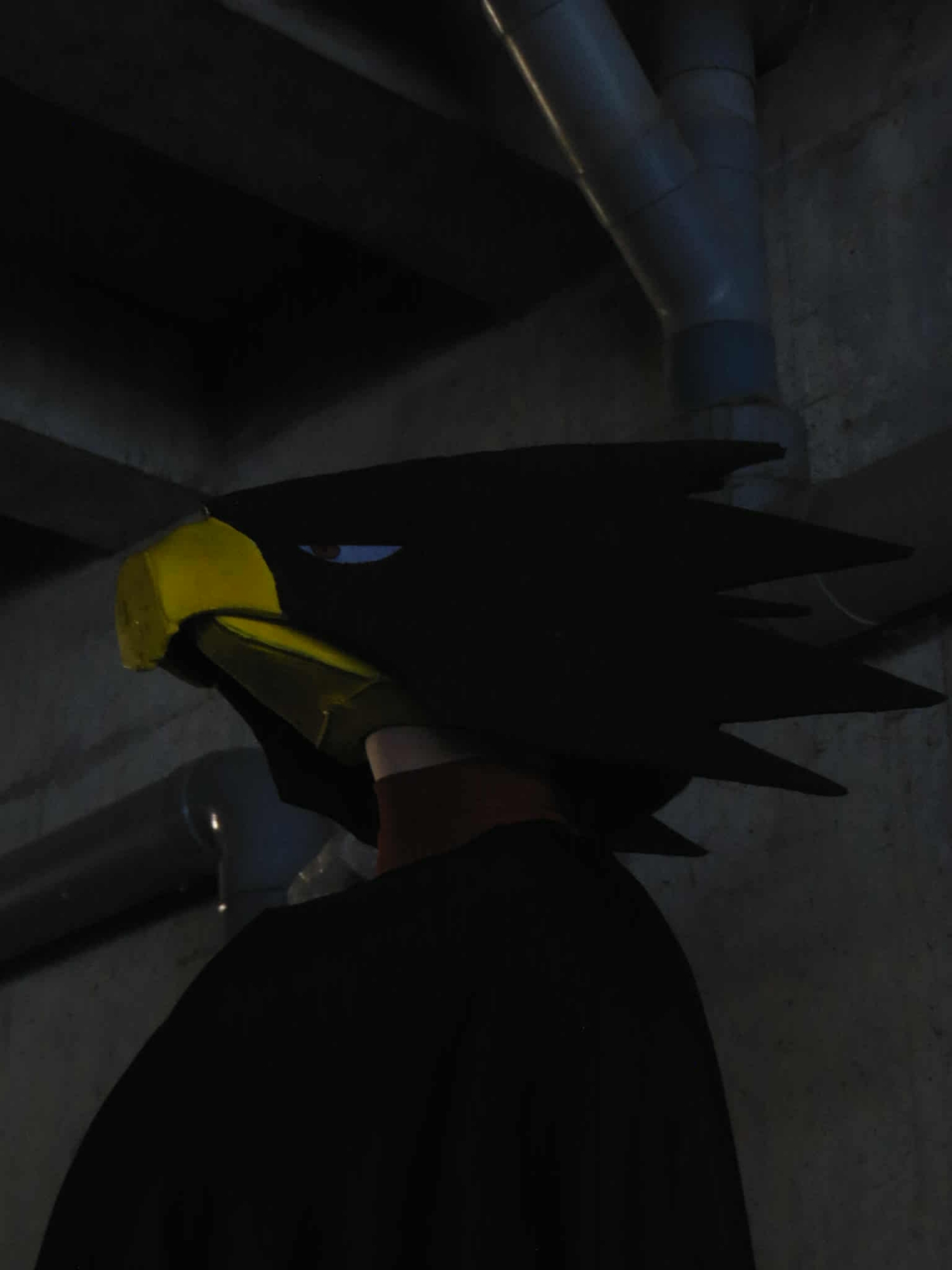 Tokoyami - JapanExpo - Photo 1