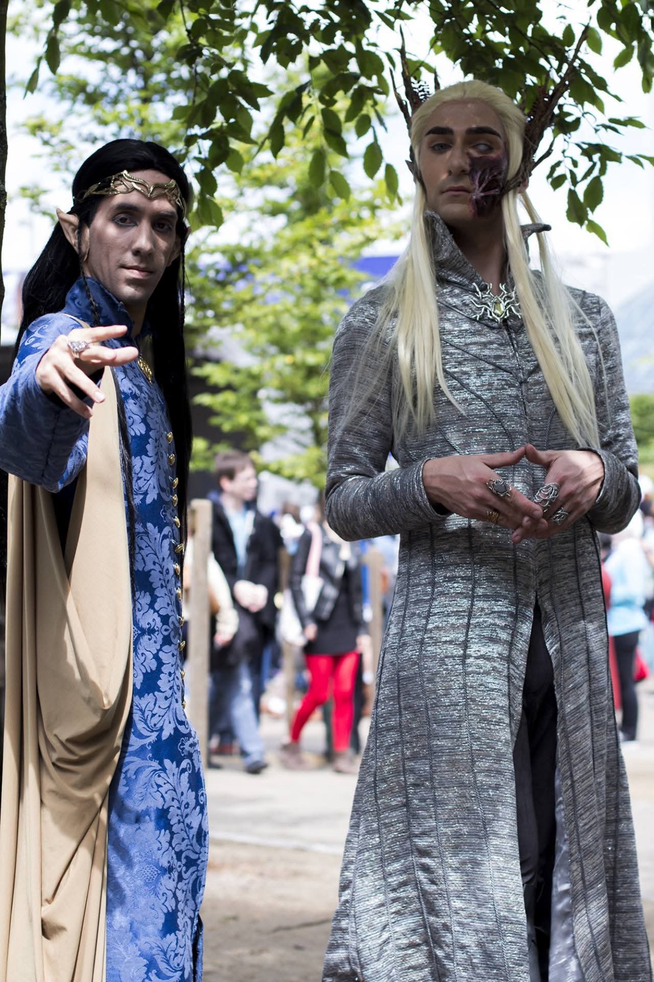 Elrond — photo 15