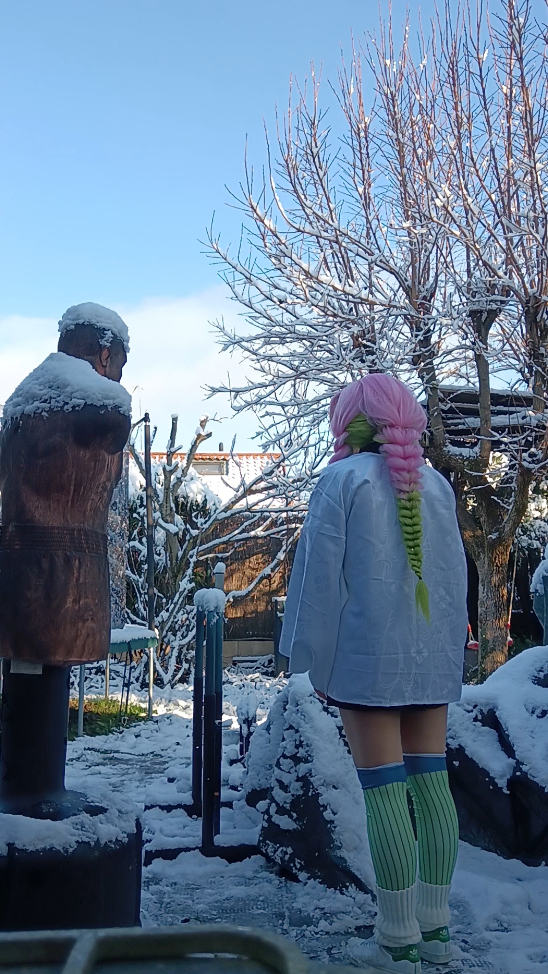 Mitsuri Kanroji - Photo 14