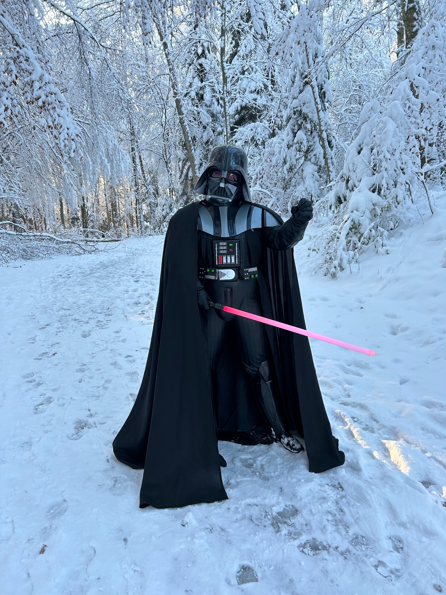 Snow Vader — photo 29