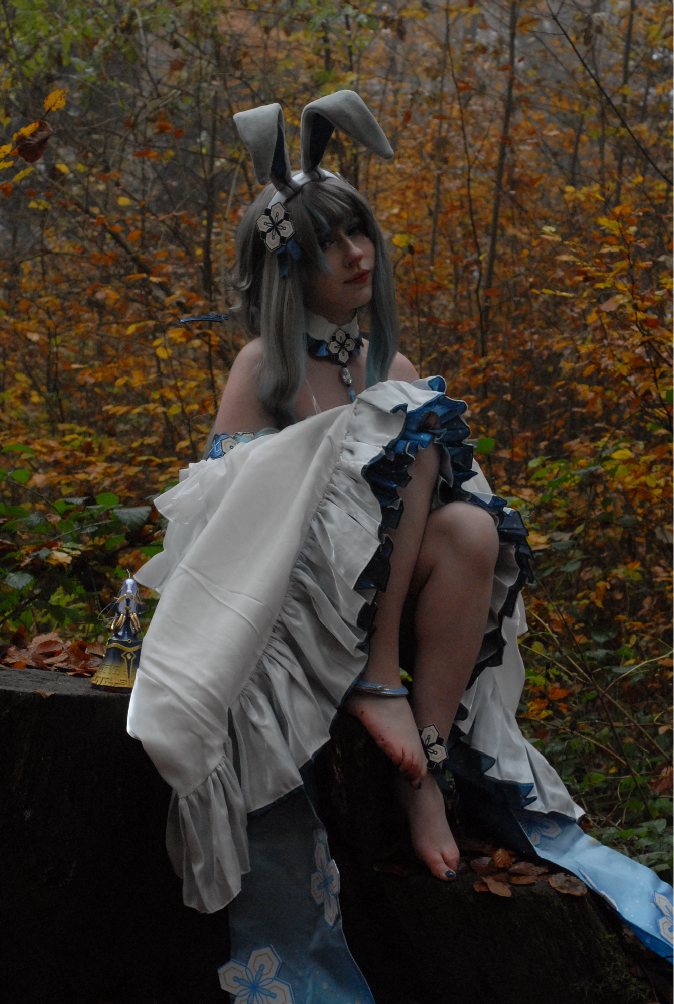 Guizhong Bunny - Photo 24