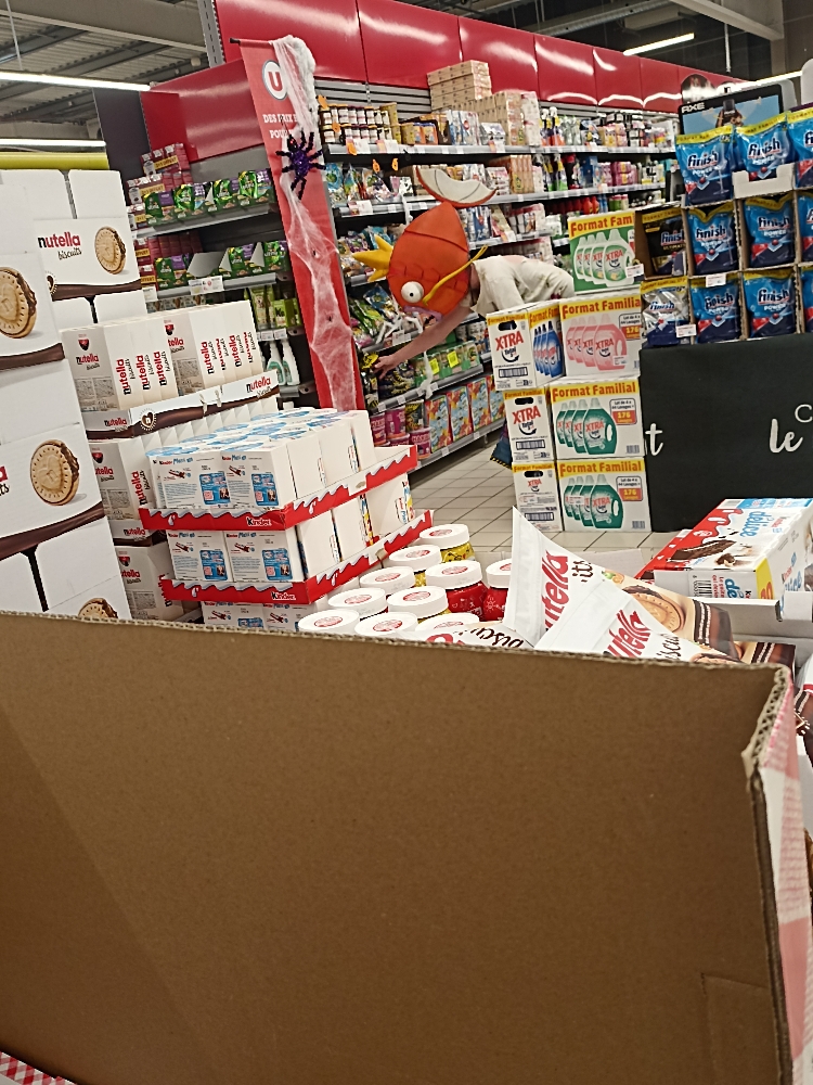 Magicarpe Zombie  - Photo 12