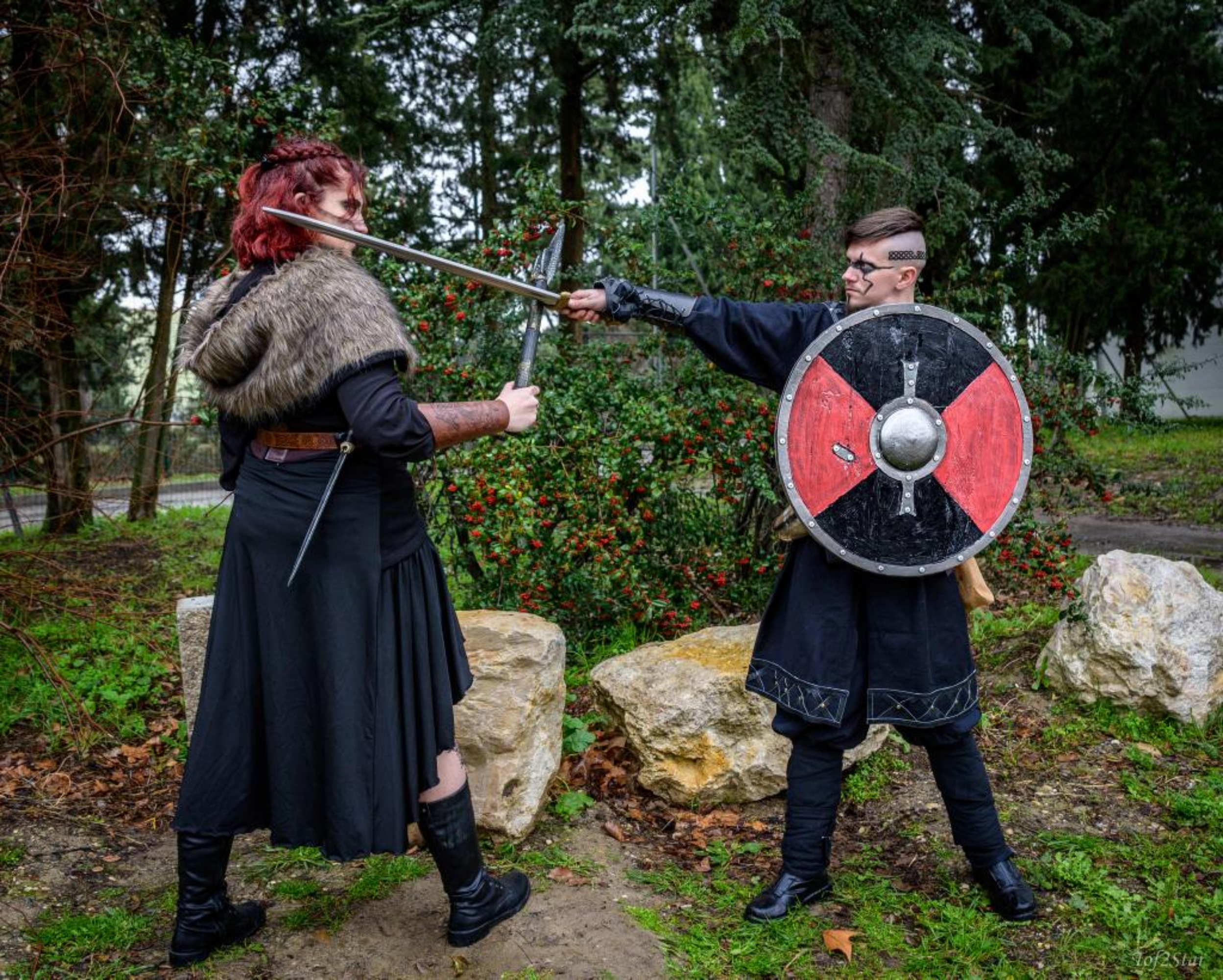 Viking, photo 7