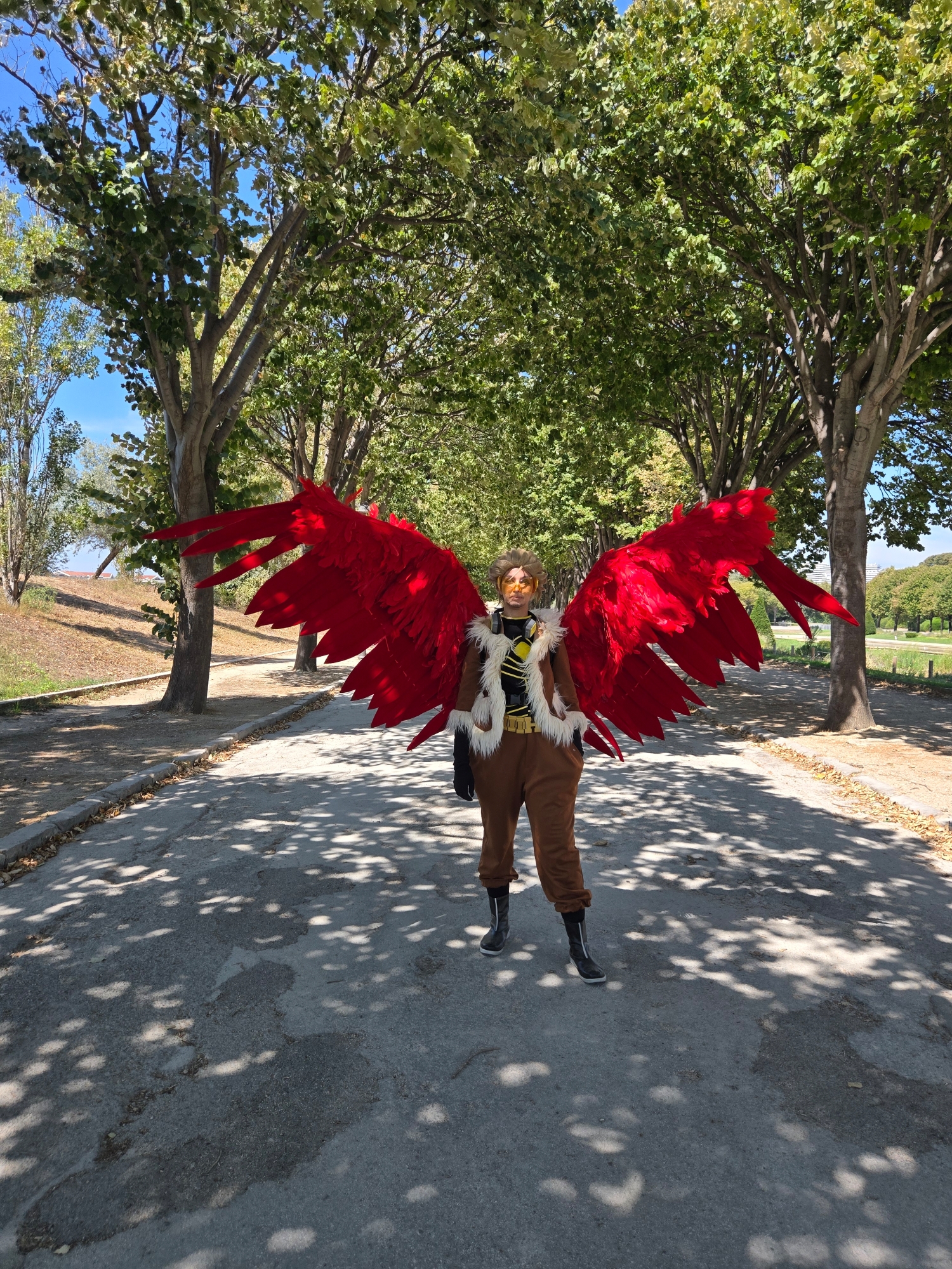 Hawks, photo 83