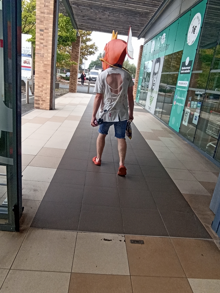 Magicarpe Zombie — photo 20