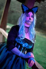 Chat du Cheshire preview 3