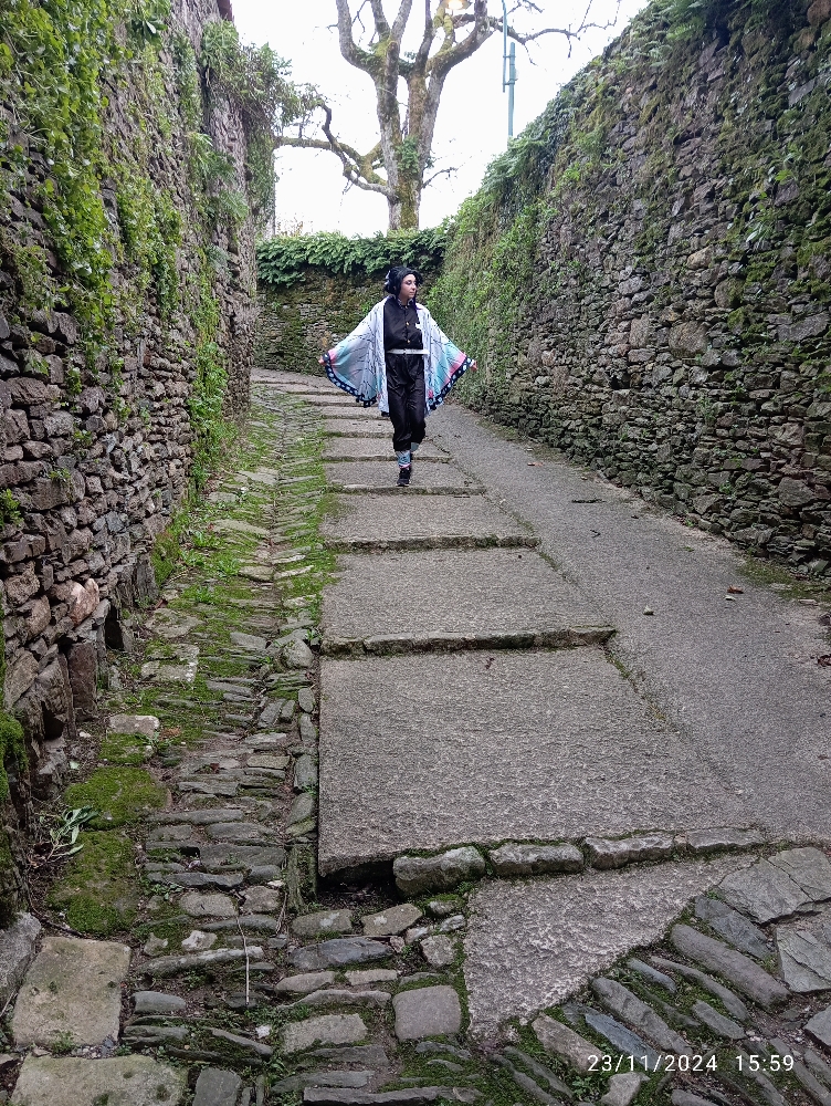 Shinobu KOCHO - Photo 12