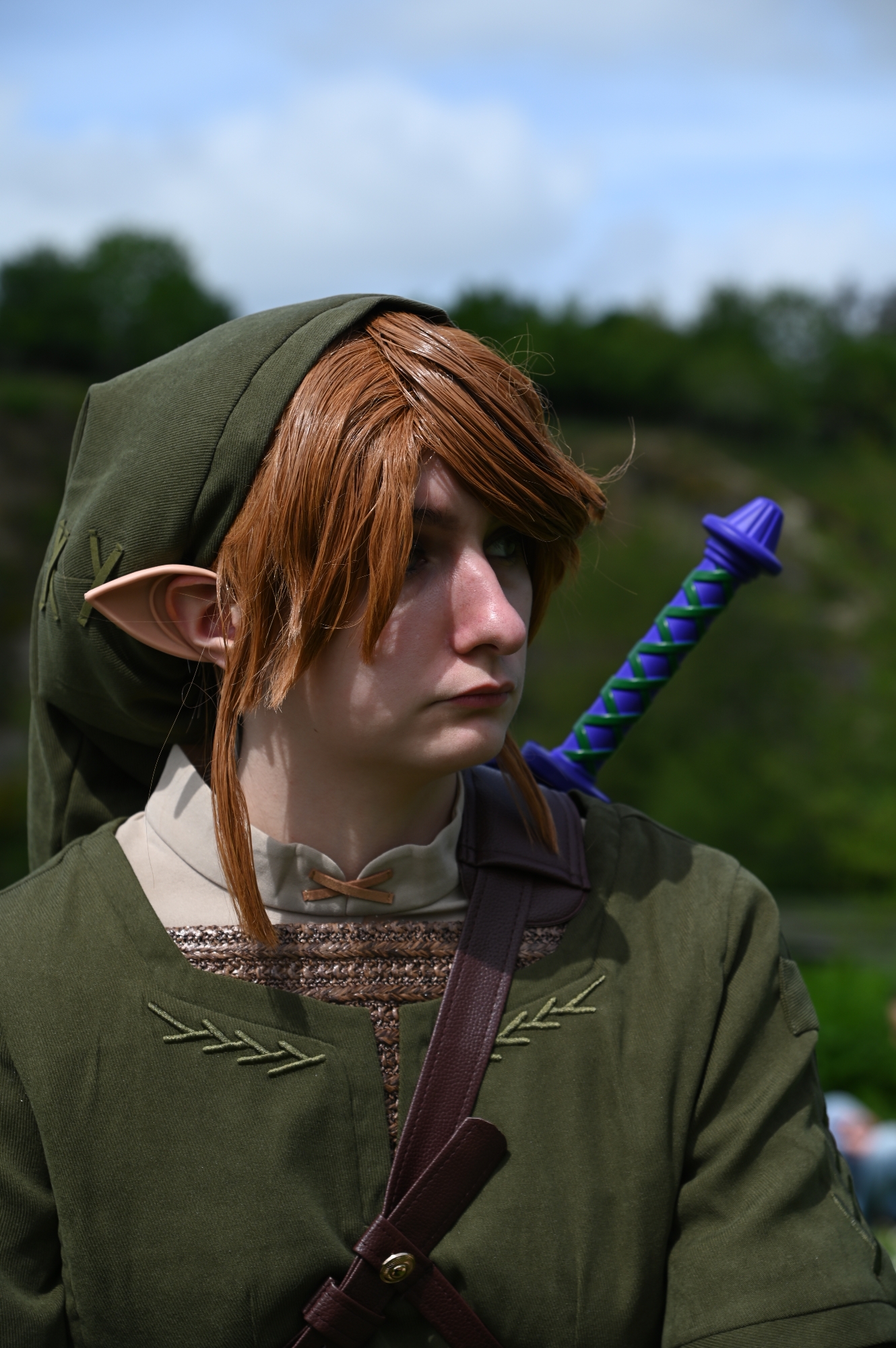 Link — photo 22