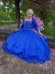 Rosella preview 2