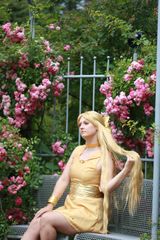 Princess Venus-Anime preview 3