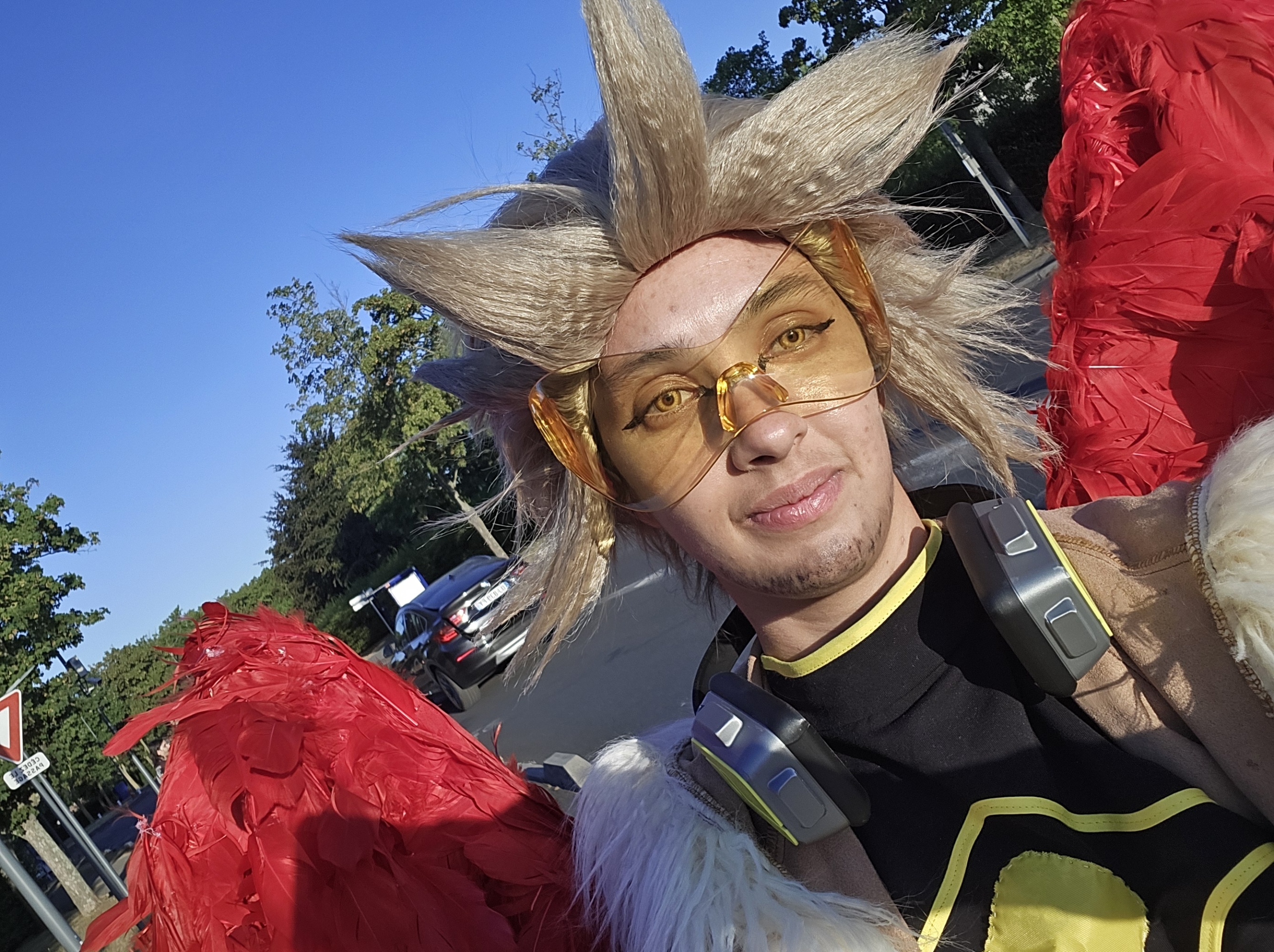 Hawks — photo 113