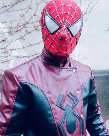 Spiderman Last Stand