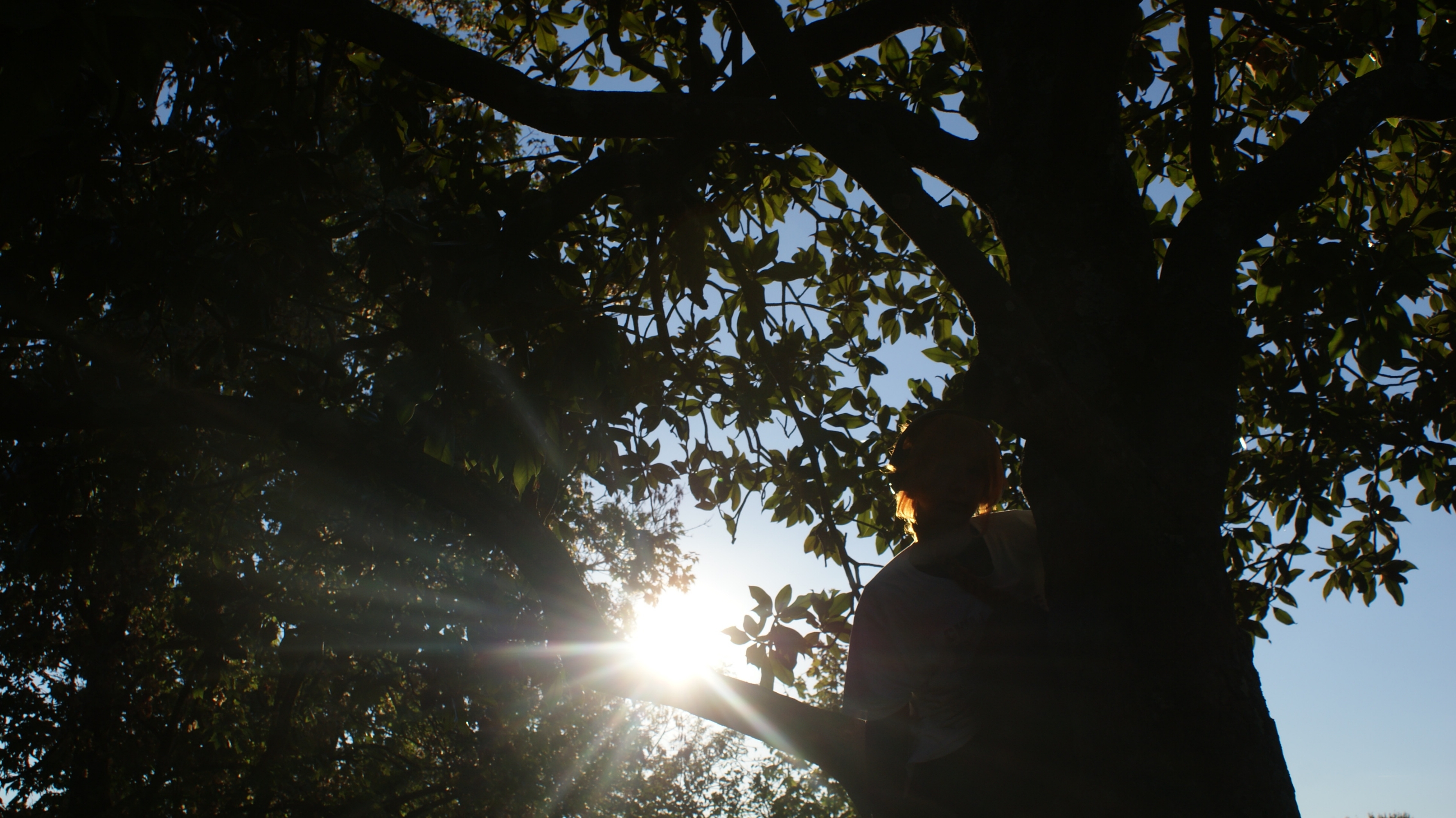 Ashlyn Banner, photo 15