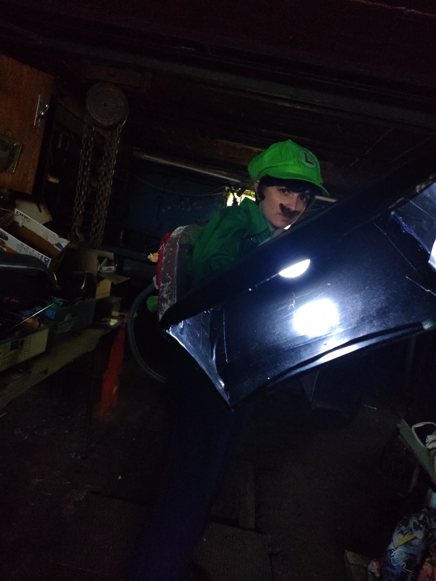 Luigi — photo 8