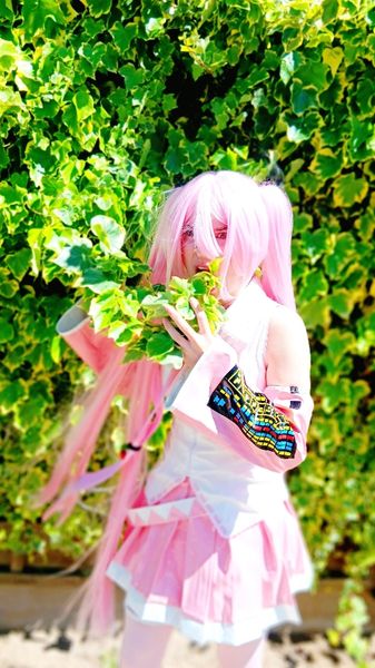 Saphir_ - SAKURA MIKU