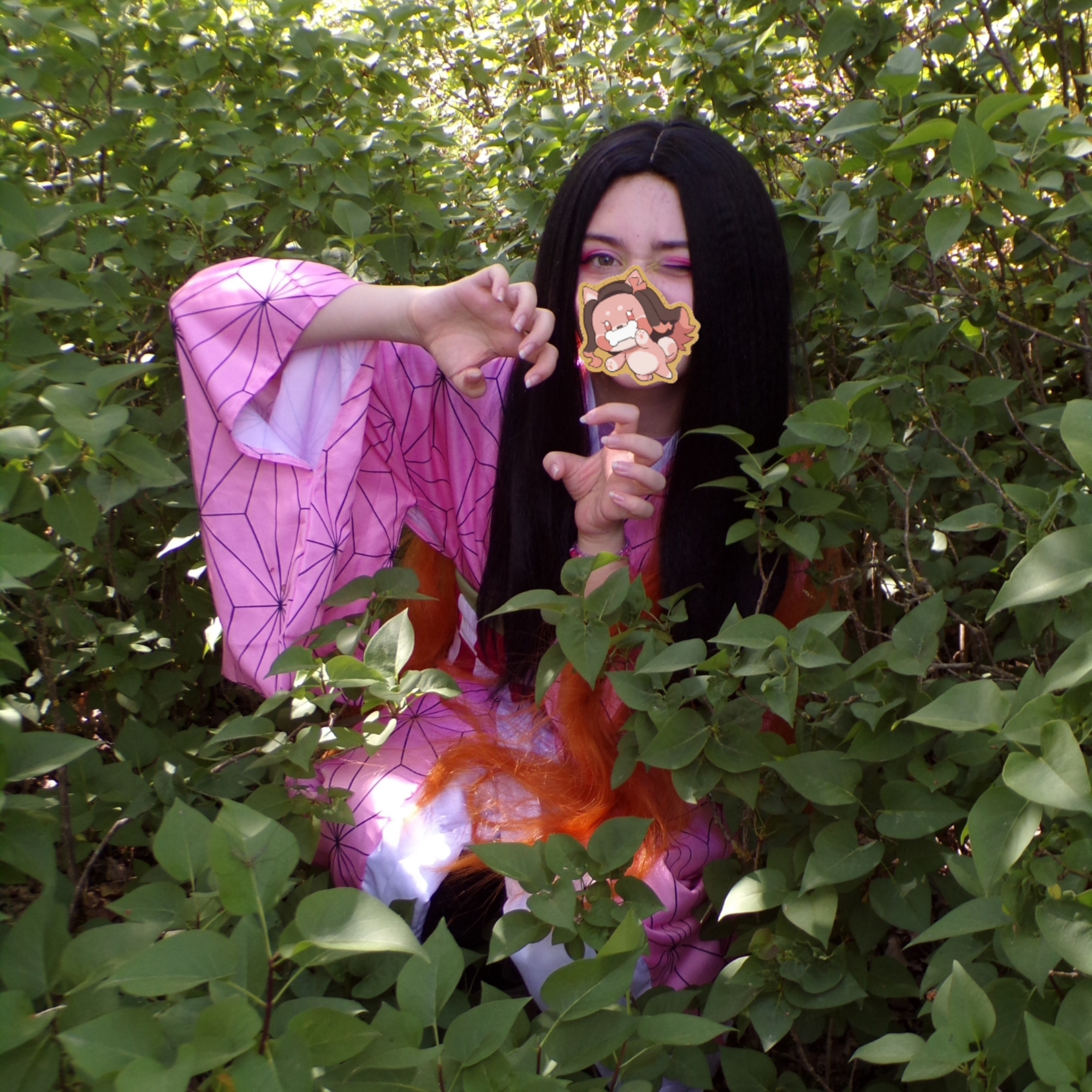 Nezuko — photo 9