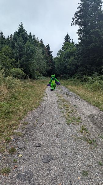 Wyndmango - 
A dark forest