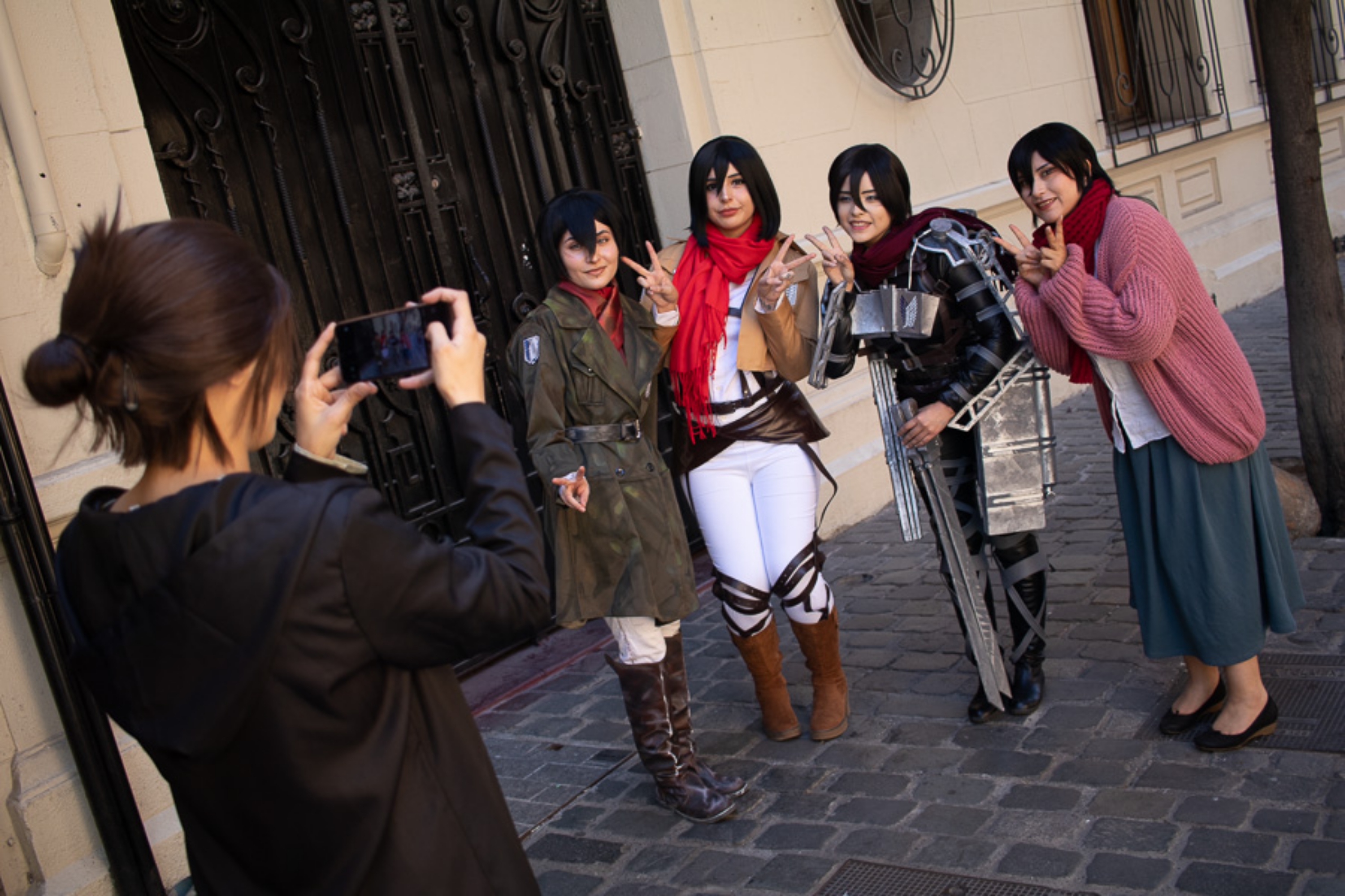 Mikasa final — photo 9