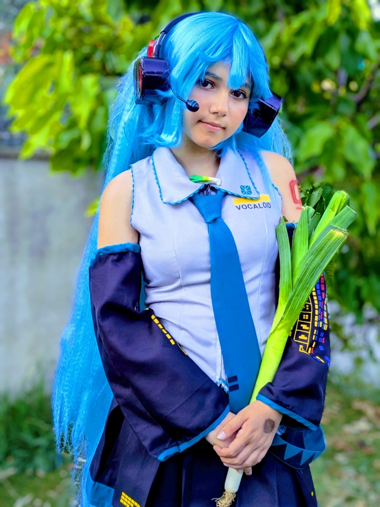 Hatsune Miku 6/25 - Photo 6