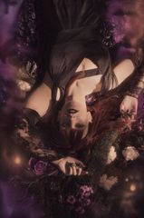Silène preview 2