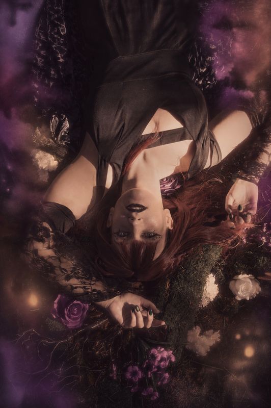Aelia – Silène