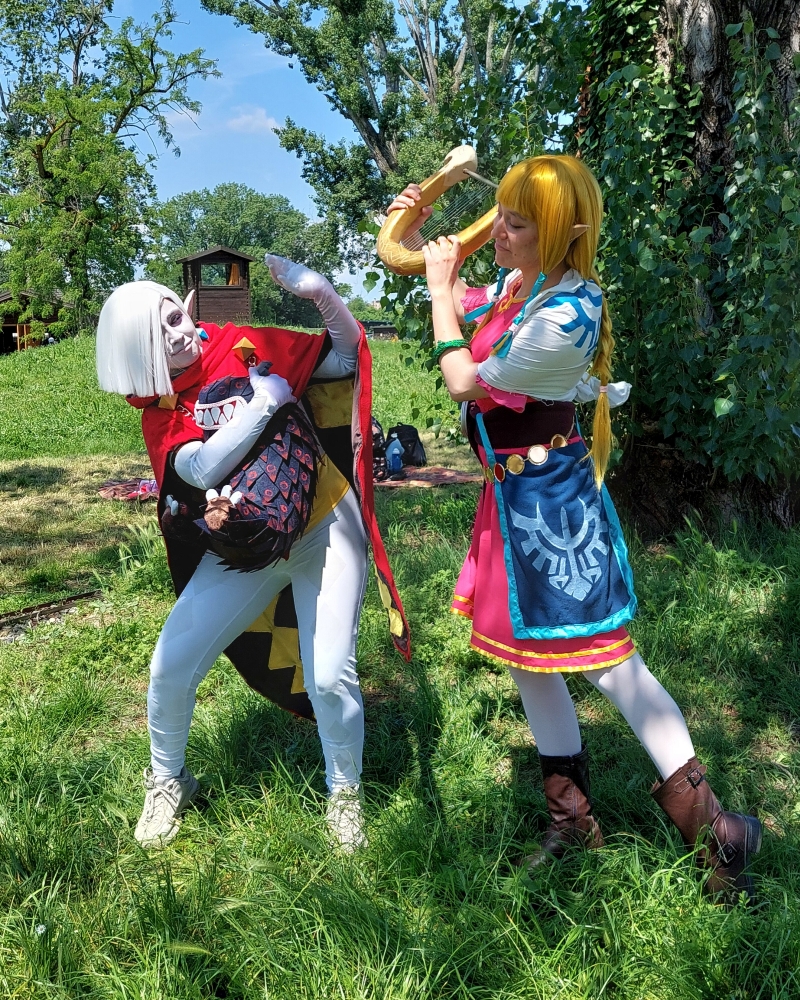 Skyward sword Zelda — photo 10