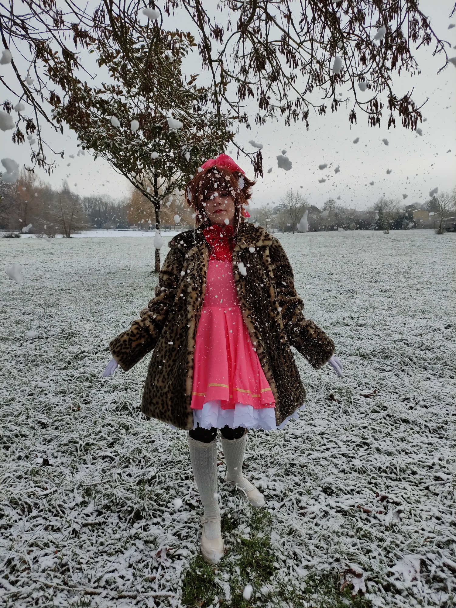 Sakura neige - Photo 6