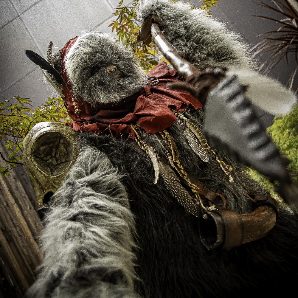 Un Ewok à Vitrolles