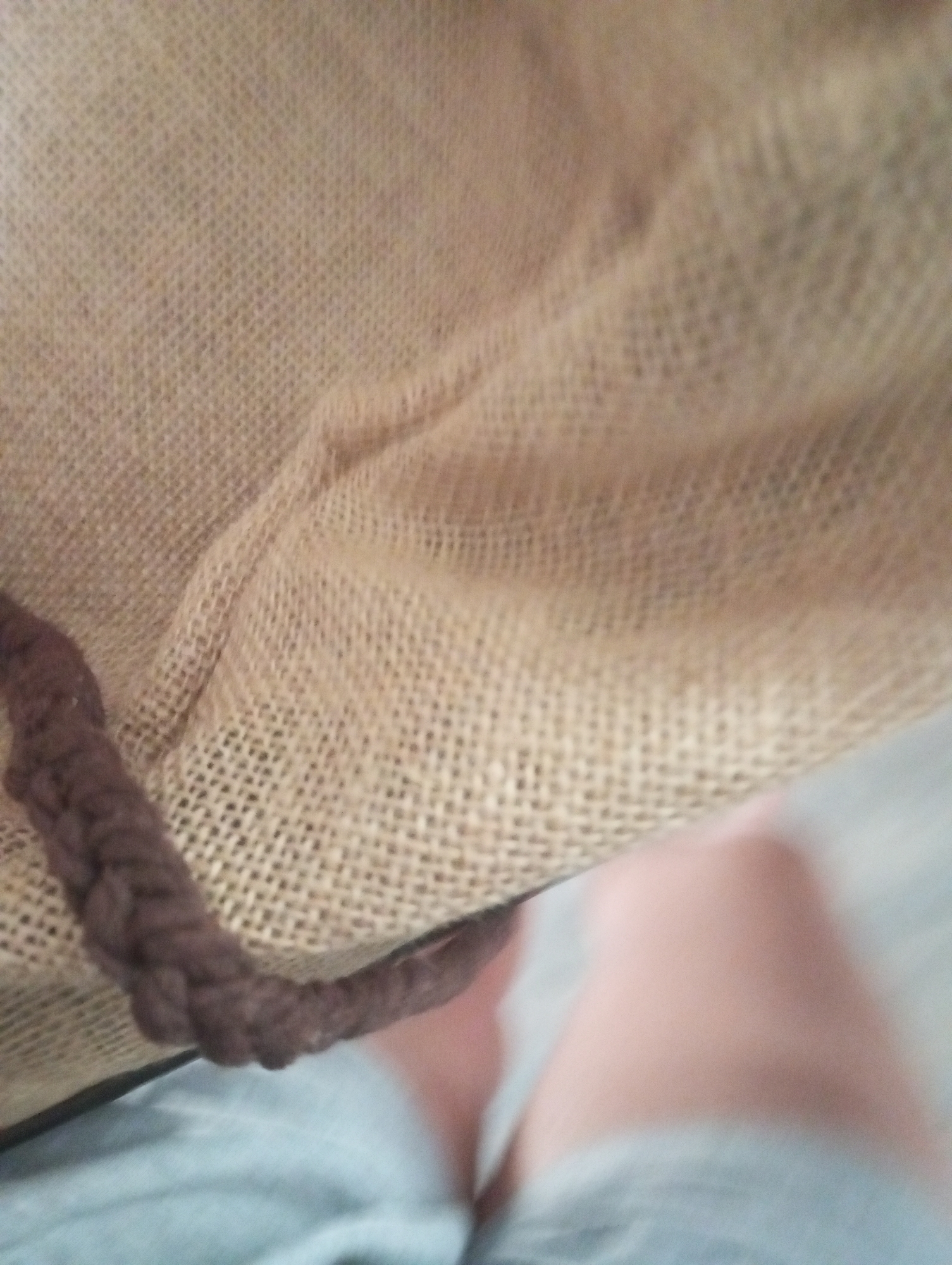 Totoro — photo 5