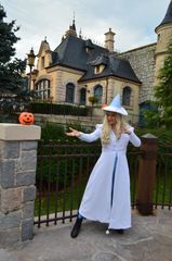 Elsa sorciere preview 2