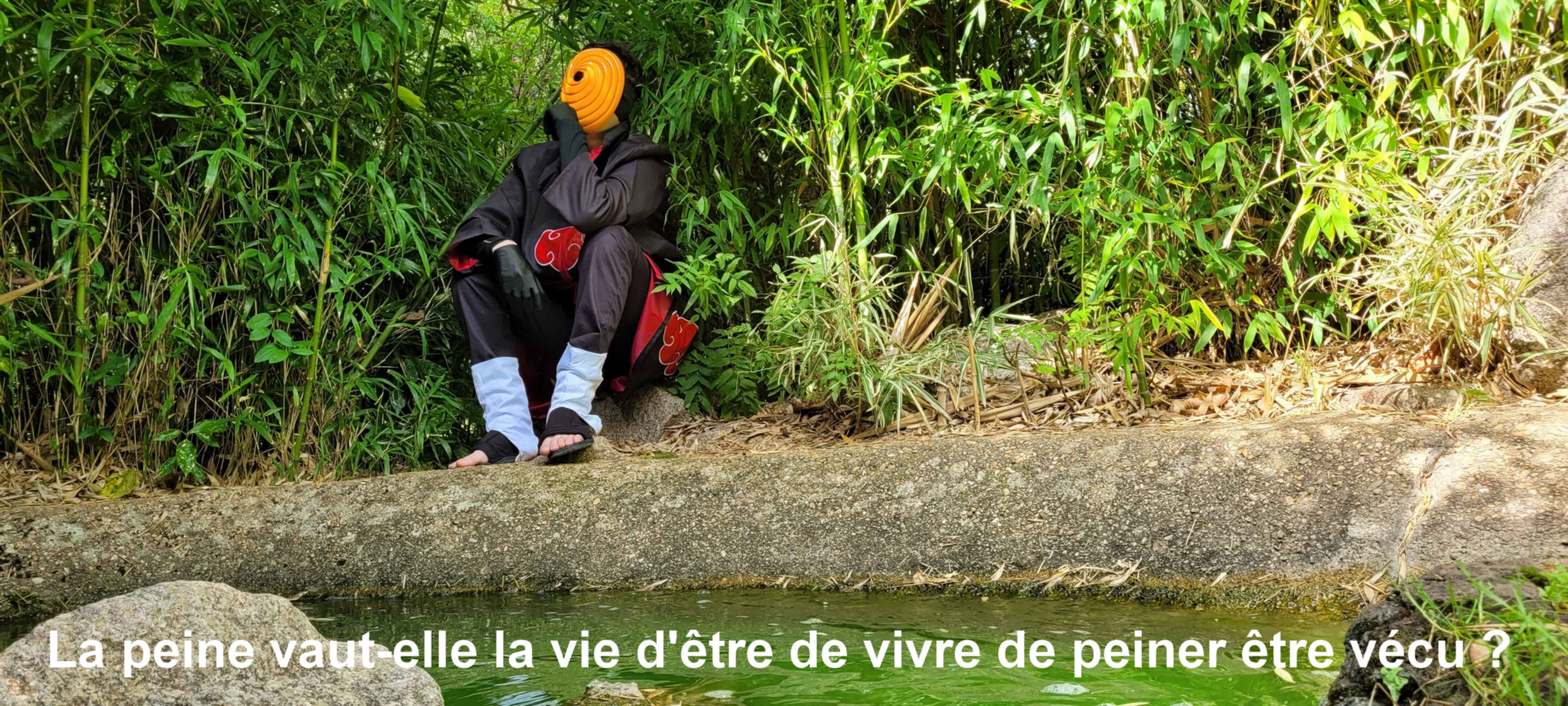 Tobi — photo 13